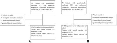 A radiomics nomogram for the ultrasound-based evaluation of central cervical lymph node metastasis in papillary thyroid carcinoma